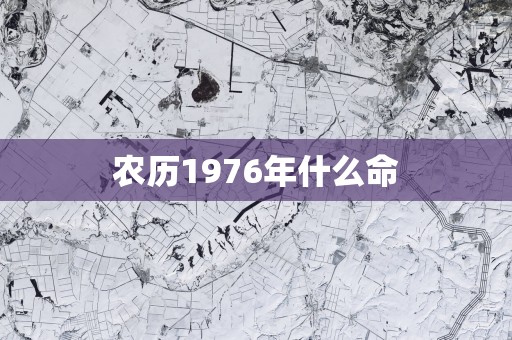 农历1976年什么命