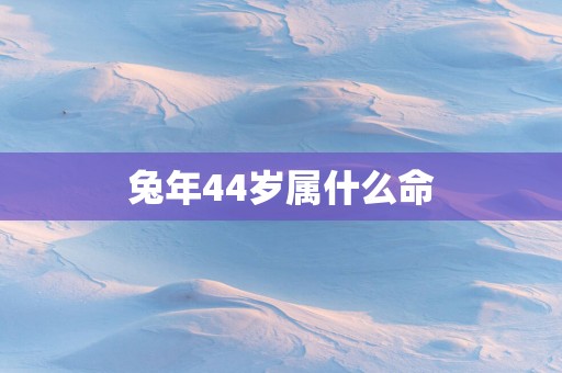 马年44岁属什么命
