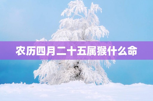农历四月二十五属猴什么命