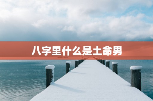 八字里什么是土命男