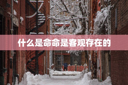 什么是命命是客观存在的