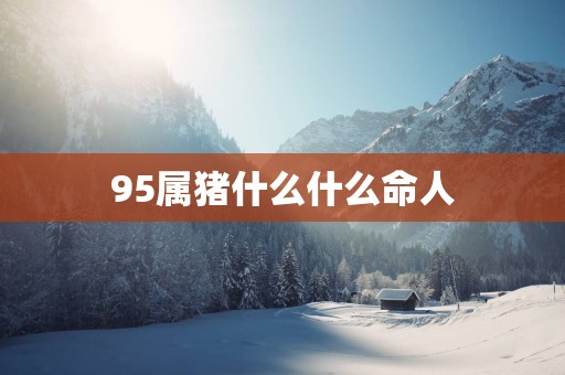 95属猪什么什么命人