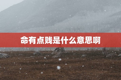 命有点贱是什么意思啊