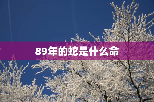 89年的蛇是什么命