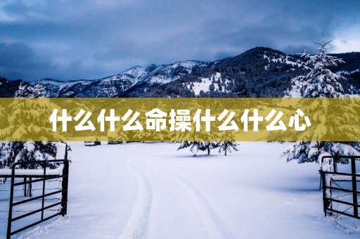 什么什么命操什么什么心