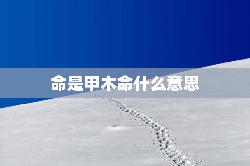 命是甲木命什么意思