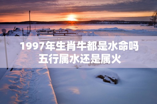 1997年生肖牛都是水命吗 五行属水还是属火