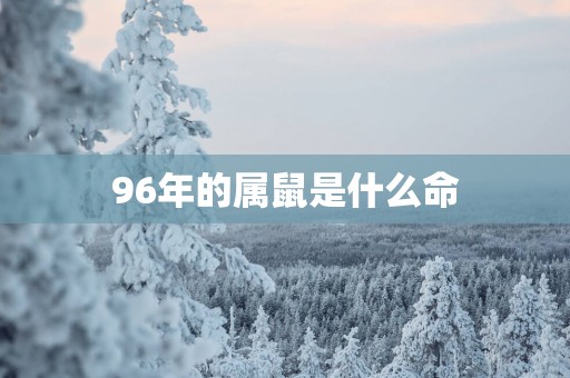 96年的属鼠是什么命