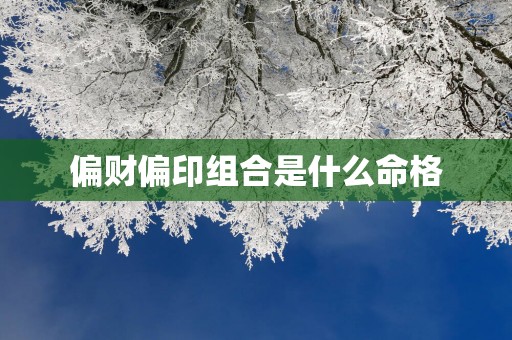 偏财偏印组合是什么命格