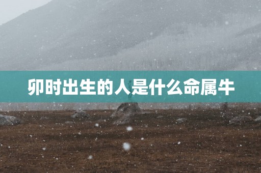 卯时出生的人是什么命属牛