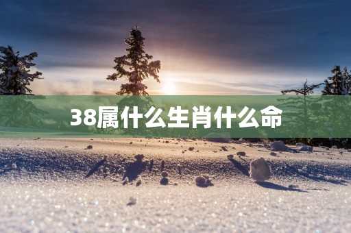 38属什么生肖什么命