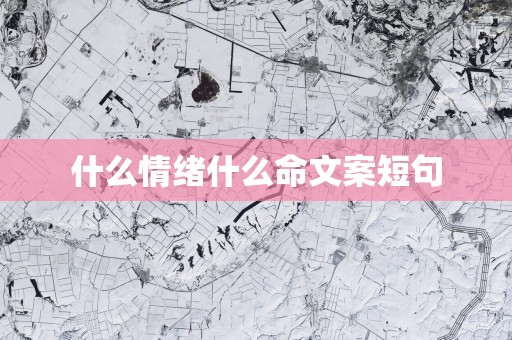 什么情绪什么命文案短句