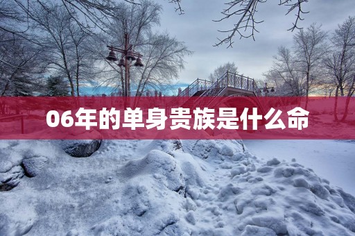 06年的单身贵族是什么命