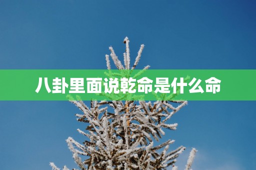 八卦里面说乾命是什么命