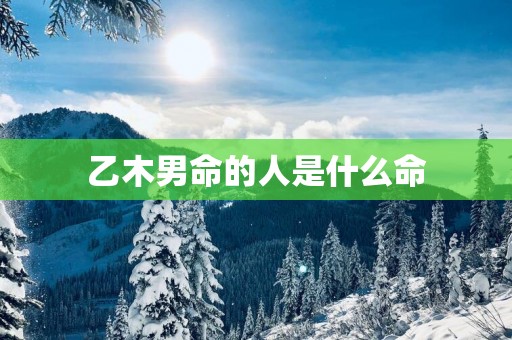 乙木男命的人是什么命