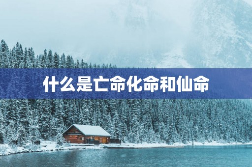 什么是亡命化命和仙命