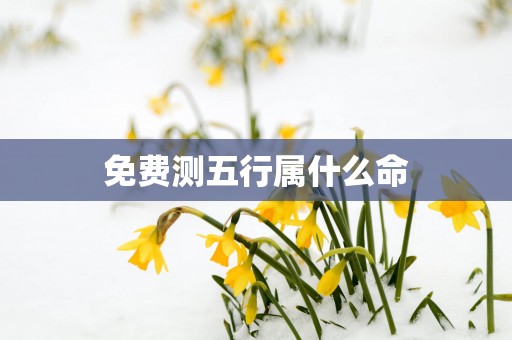 免费测五行属什么命