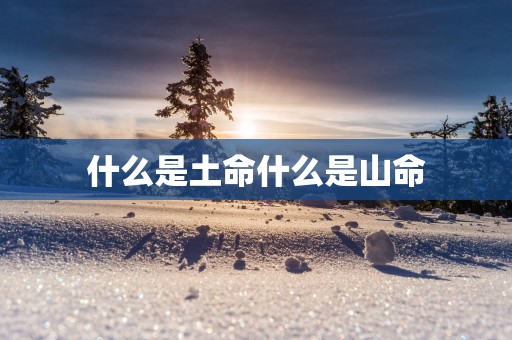 什么是土命什么是山命