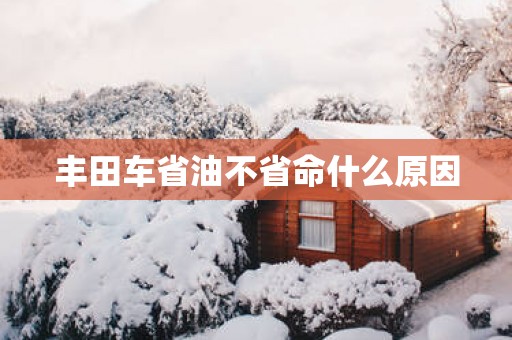 丰田车省油不省命什么原因