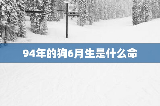 94年的狗6月生是什么命