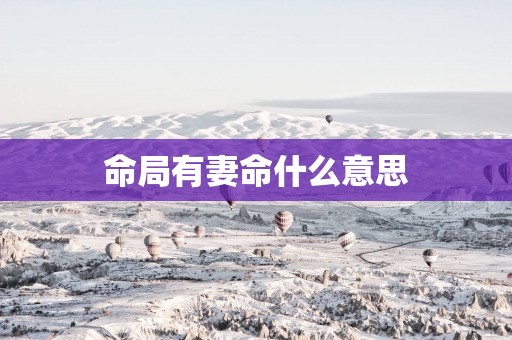 命局有妻命什么意思