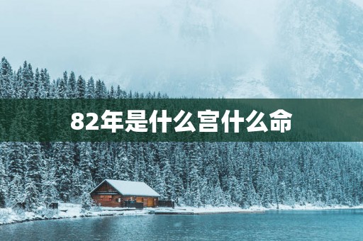 82年是什么宫什么命