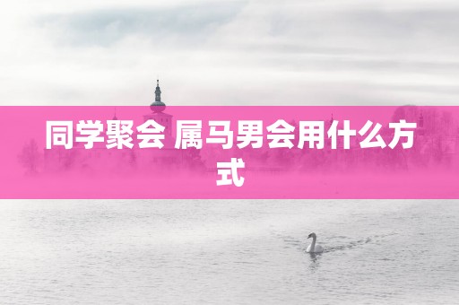 同学聚会 属马男会用什么方式