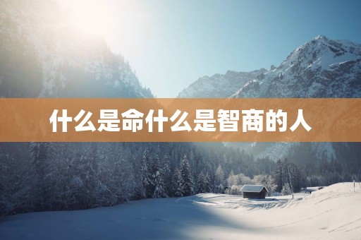 什么是命什么是智商的人