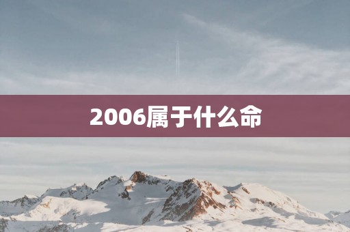2006属于什么命