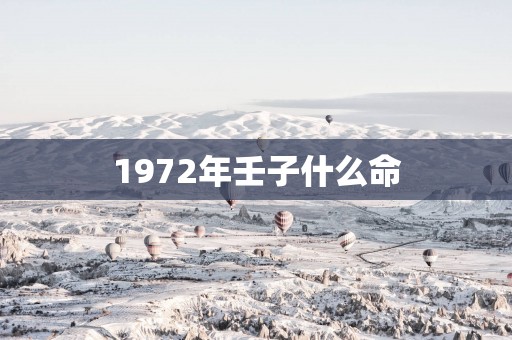 1972年壬子什么命