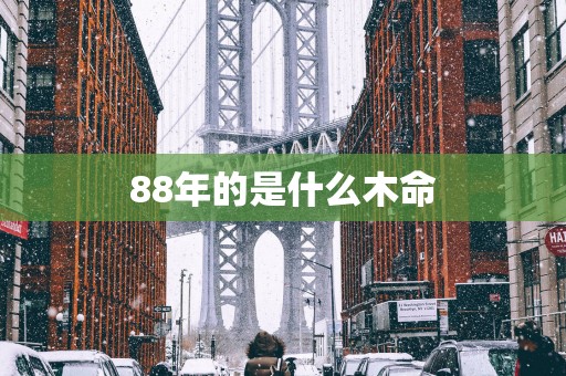 88年的是什么木命