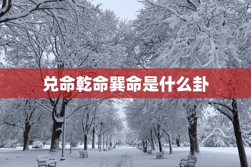 兑命乾命巽命是什么卦