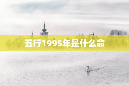 五行1995年是什么命