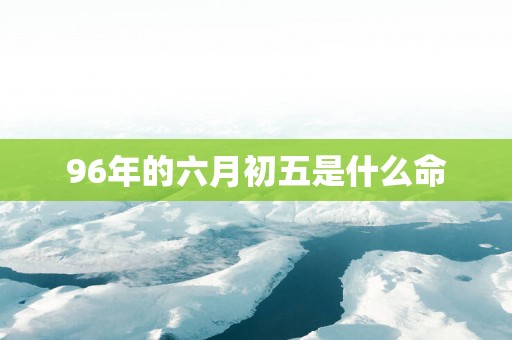 96年的六月初五是什么命