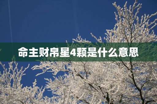 命主财帛星4颗是什么意思