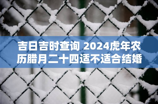 吉日吉时查询 2025蛇年农历腊月二十四适不适合结婚