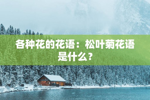 各种花的花语：松叶菊花语是什么？