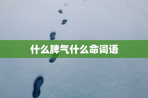什么脾气什么命词语