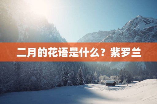 二月的花语是什么？紫罗兰