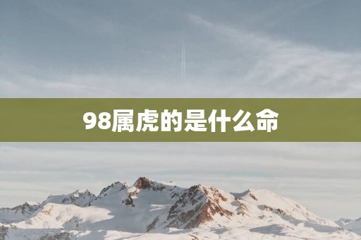 98属虎的是什么命