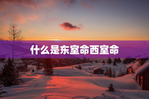什么是东室命西室命