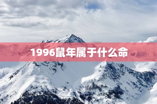 1996蛇年属于什么命