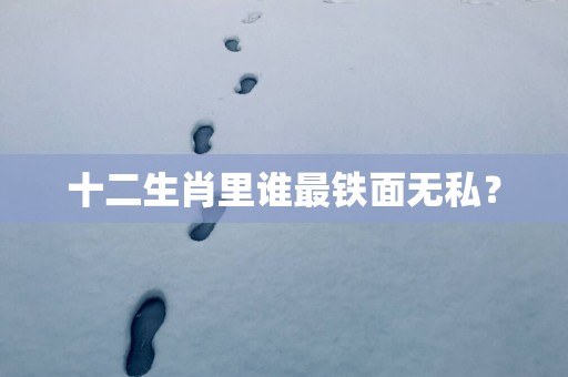 十二生肖里谁最铁面无私？
