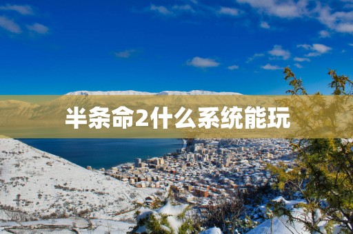 半条命2什么系统能玩
