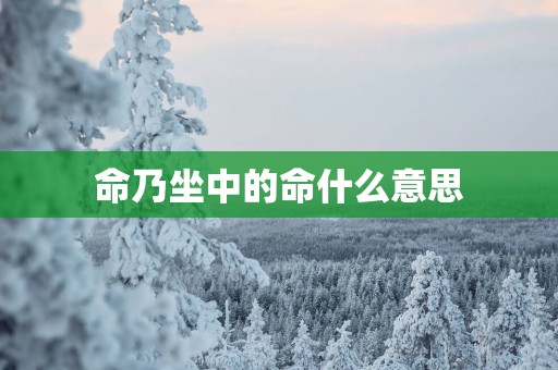命乃坐中的命什么意思