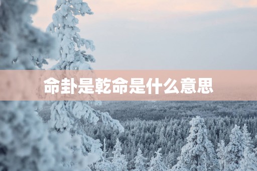 命卦是乾命是什么意思