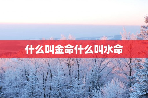 什么叫金命什么叫水命