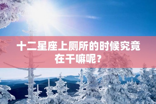 十二星座上厕所的时候究竟在干嘛呢？