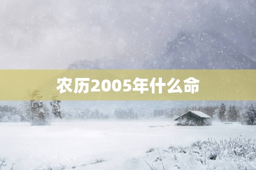 农历2005年什么命