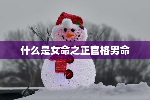 什么是女命之正官格男命